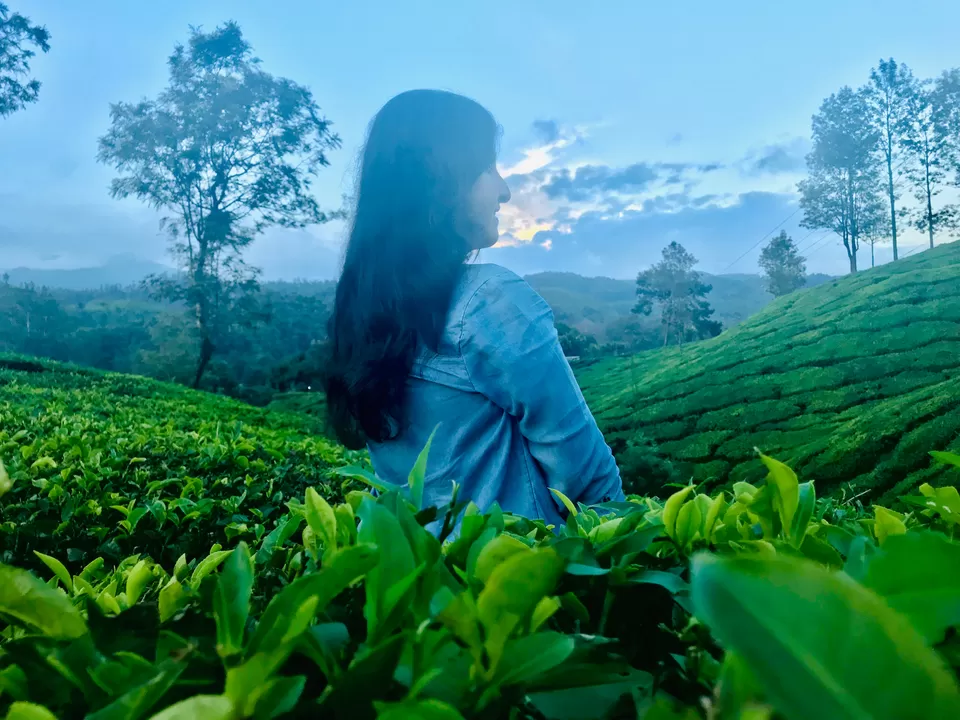 Photo of Moolakadai,Munnar by Smeeksha Pandey