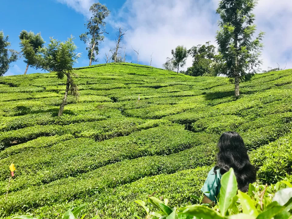 Photo of Traveling- It makes you speechless and then turns you into a story teller ! . . by Smeeksha Pandey