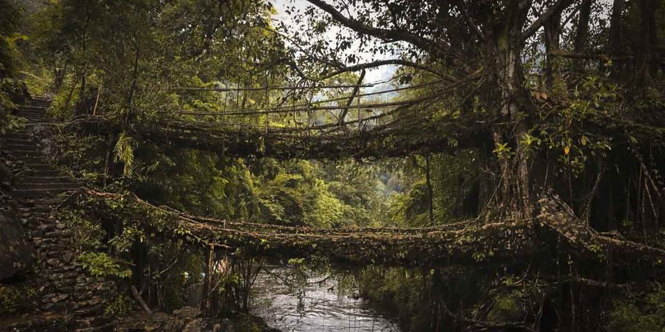 Photo of A walk with Nature to the Double Decker Bridge - Sohra by Dhritiman Bharadwaj