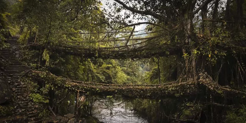 Photo of Sohra, Meghalaya, India by Dhritiman Bharadwaj