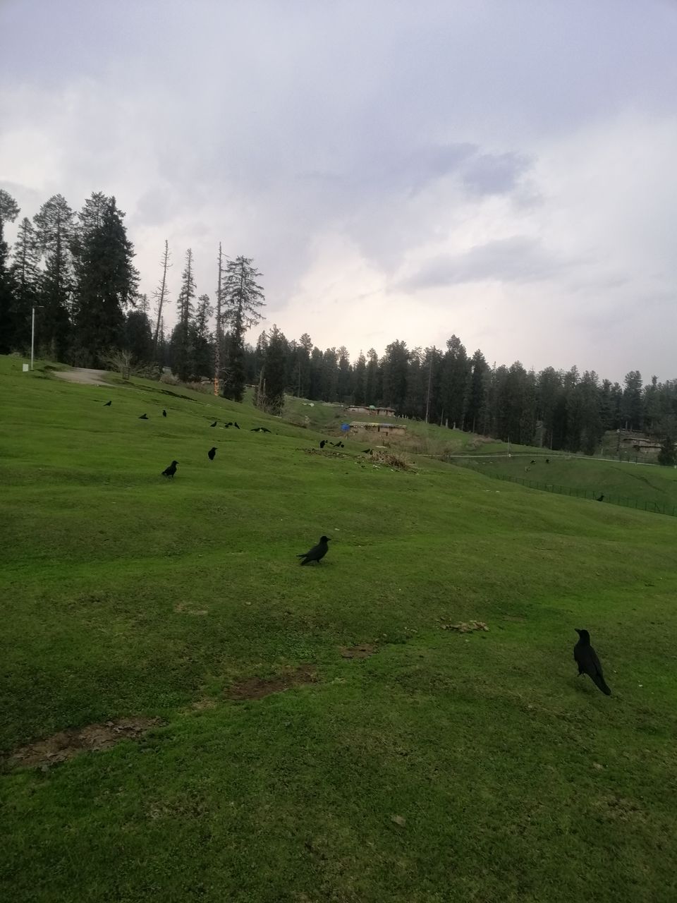 Photo of Magnanimous Kashmir by Prabhakar Borade