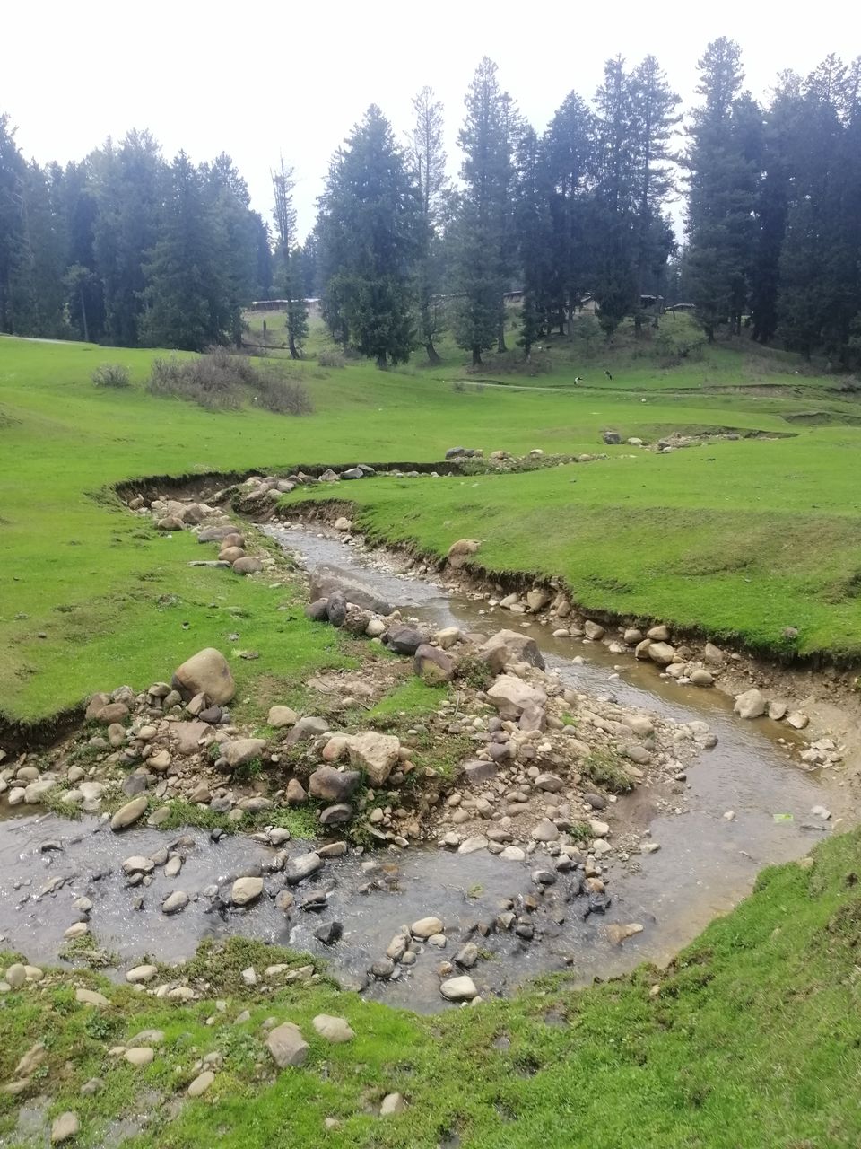Photo of Magnanimous Kashmir by Prabhakar Borade