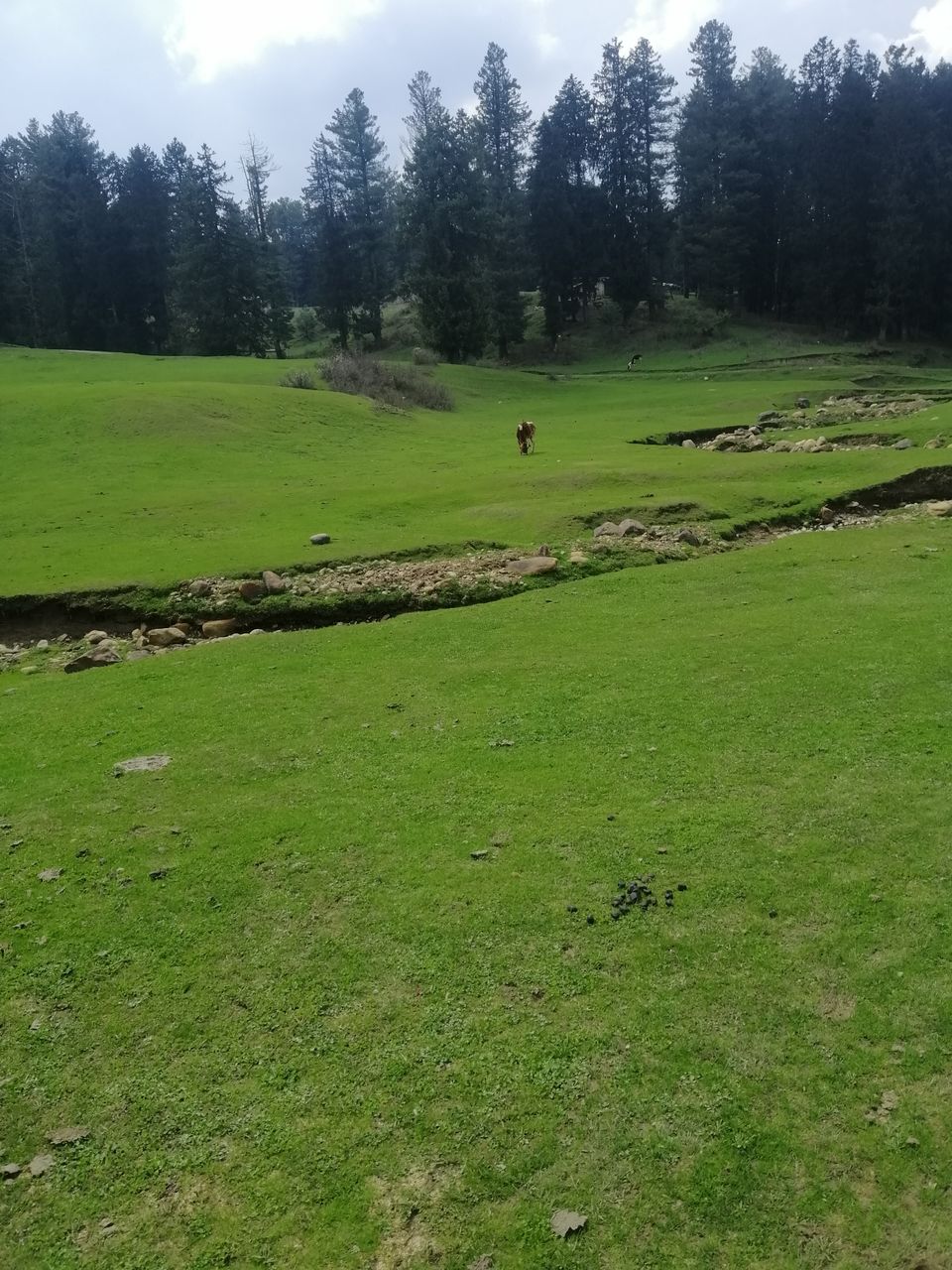 Photo of Magnanimous Kashmir by Prabhakar Borade