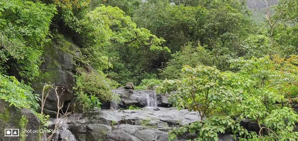 Photo of Kondhana Caves & Rajmachi Trek by Prabhakar Borade