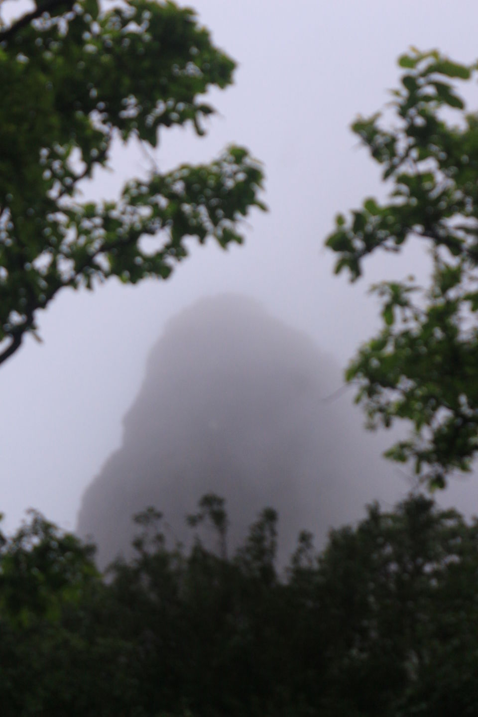 Photo of Kondhana Caves & Rajmachi Trek by Prabhakar Borade