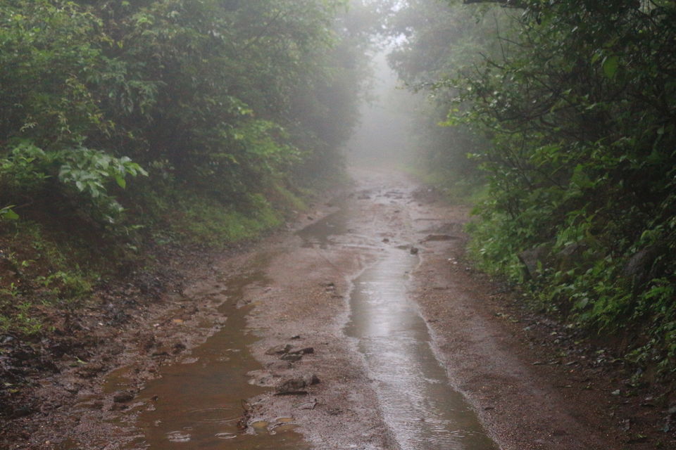 Photo of Kondhana Caves & Rajmachi Trek by Prabhakar Borade