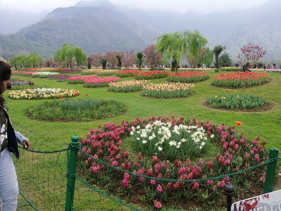 Photo of Magnanimous Kashmir by Prabhakar Borade