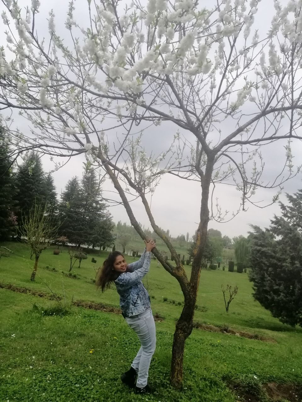 Photo of Magnanimous Kashmir by Prabhakar Borade