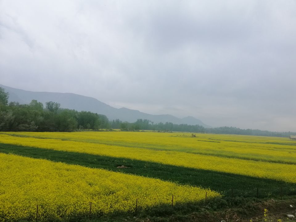 Photo of Magnanimous Kashmir by Prabhakar Borade