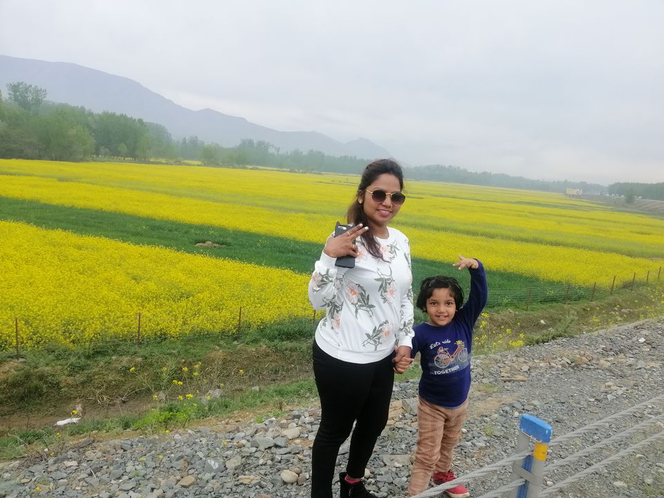 Photo of Magnanimous Kashmir by Prabhakar Borade