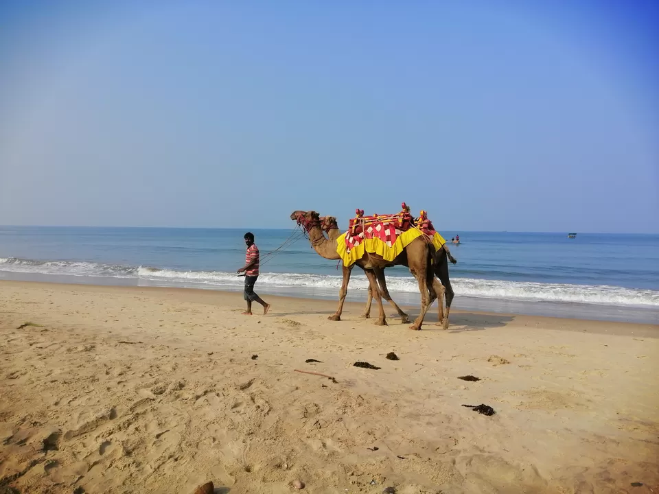 Photo of Tarkarli Beach, Maharashtra by Prabhakar Borade