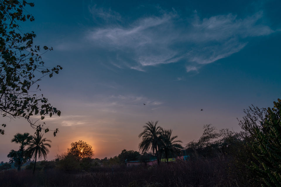 Photo of Star Gazing Within Mumbai by Menon Namrata