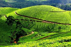 Photo of Short Travel trips 1/1 by Tanisha Chatterjee