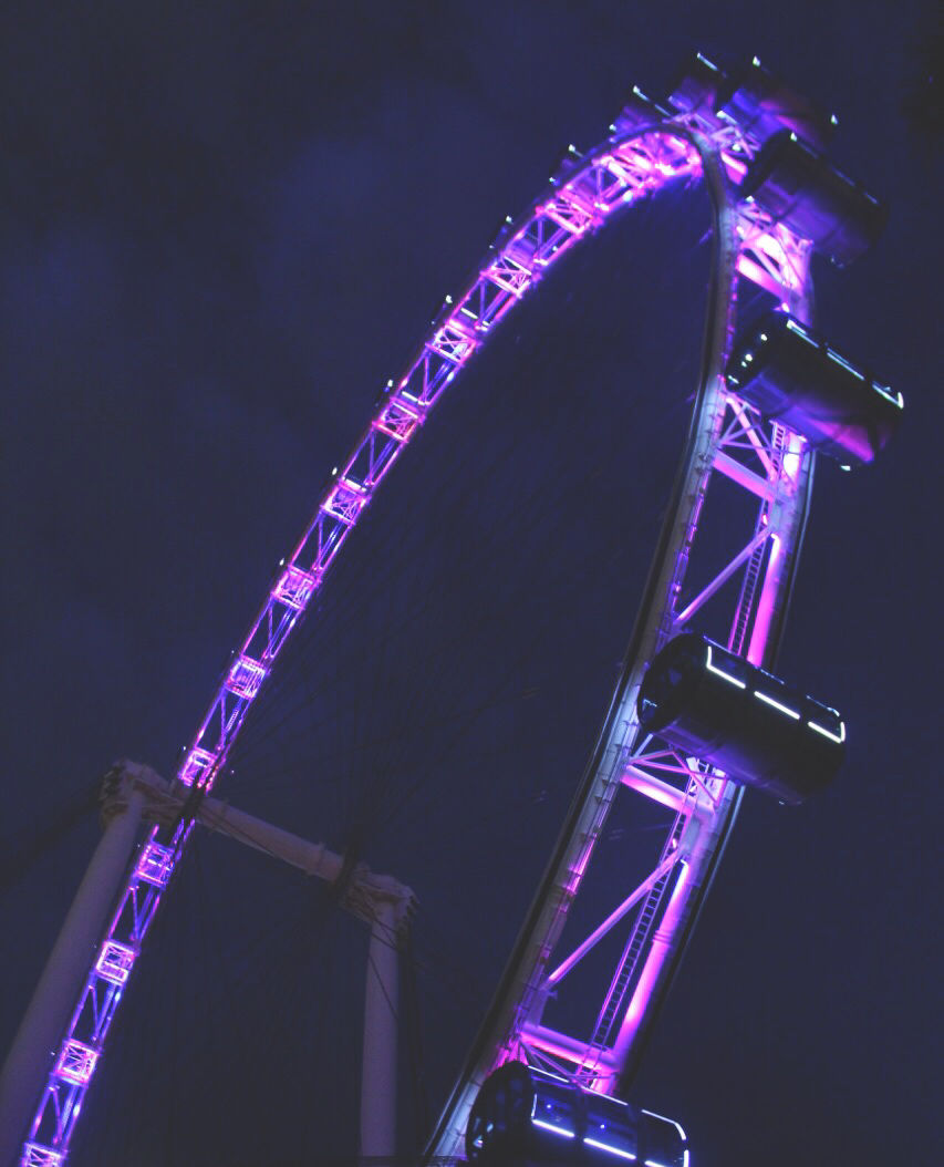 Photo of My First Ever: A Trip To Singapore #photosabroad by Pragya Shanker