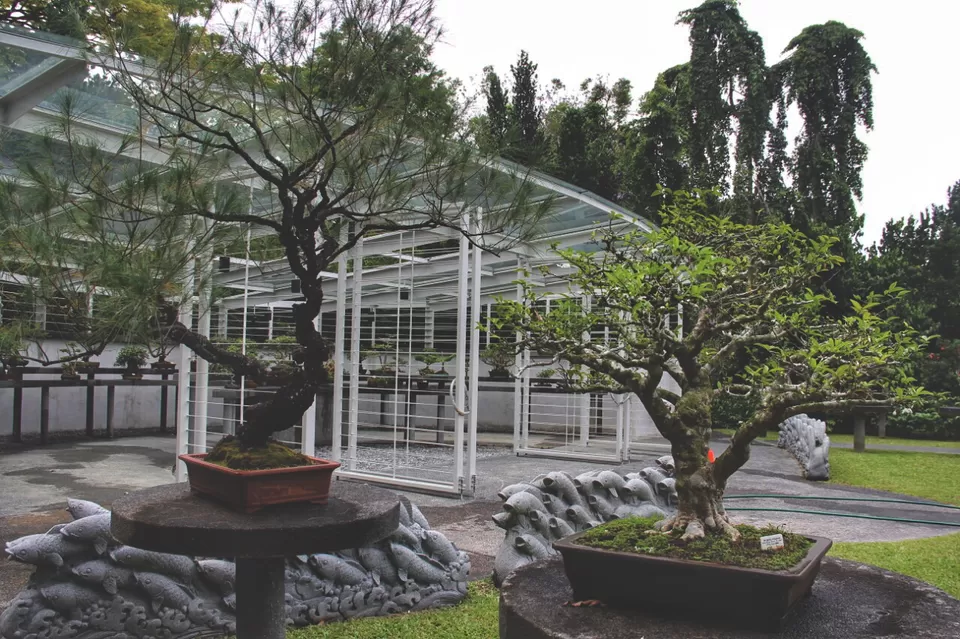 Photo of My First Ever: A Trip To Singapore #photosabroad by Pragya Shanker
