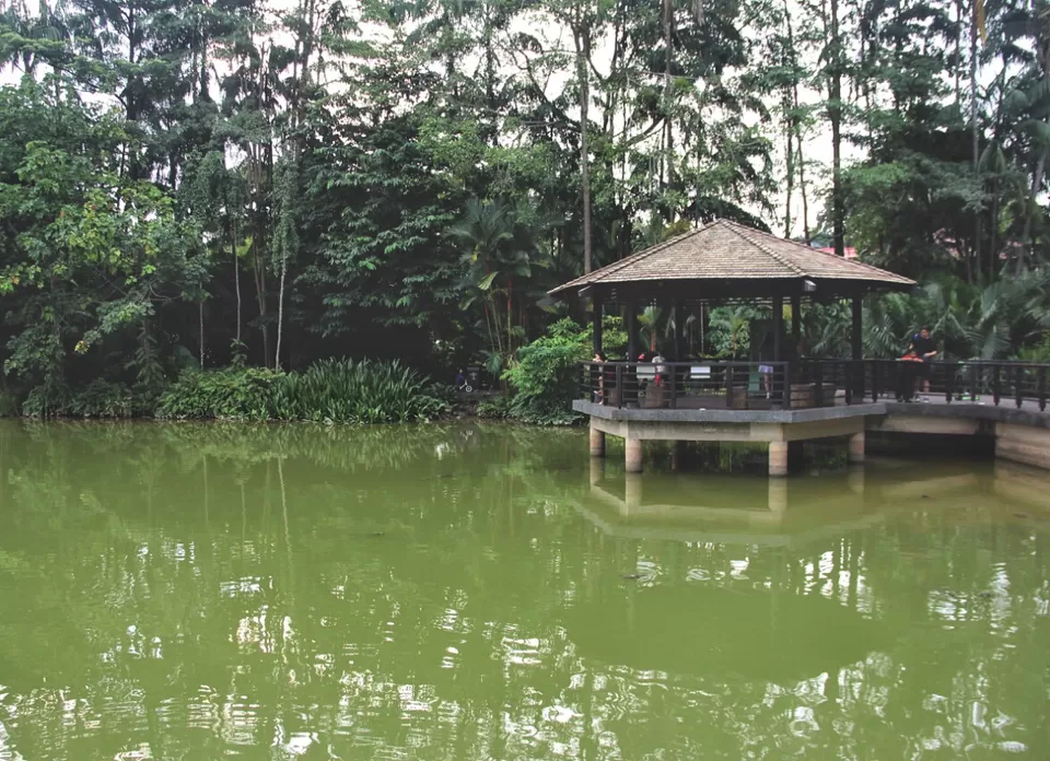 Photo of My First Ever: A Trip To Singapore #photosabroad by Pragya Shanker