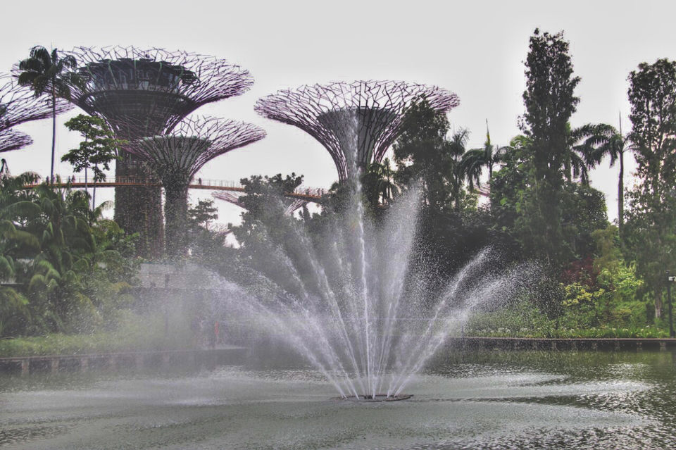 Photo of My First Ever: A Trip To Singapore #photosabroad by Pragya Shanker