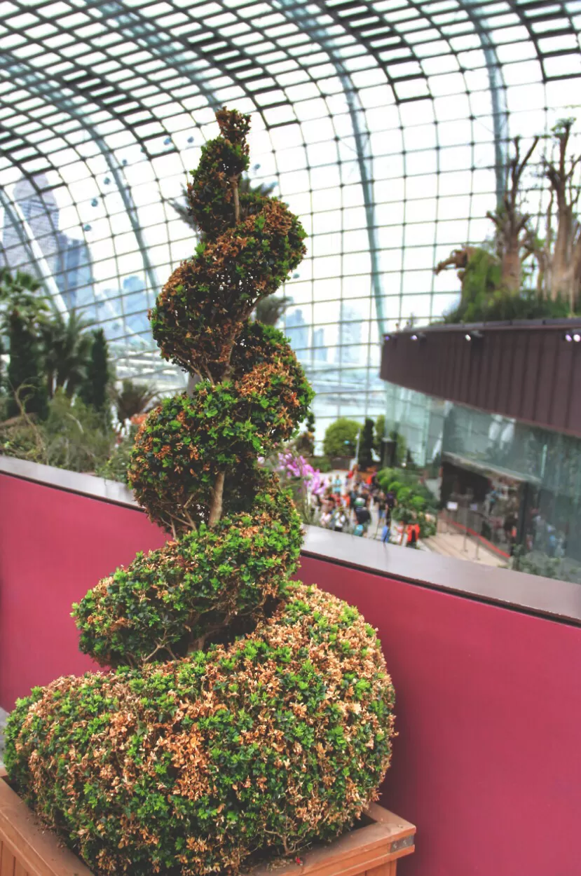 Photo of My First Ever: A Trip To Singapore #photosabroad by Pragya Shanker