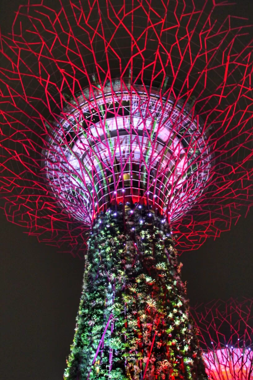 Photo of My First Ever: A Trip To Singapore #photosabroad by Pragya Shanker