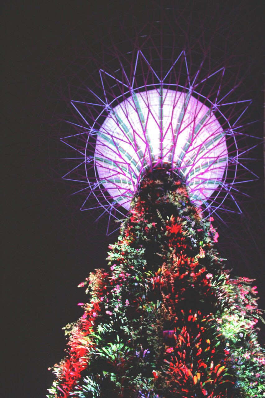 Photo of My First Ever: A Trip To Singapore #photosabroad by Pragya Shanker