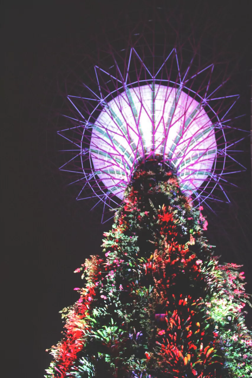 Photo of My First Ever: A Trip To Singapore #photosabroad by Pragya Shanker