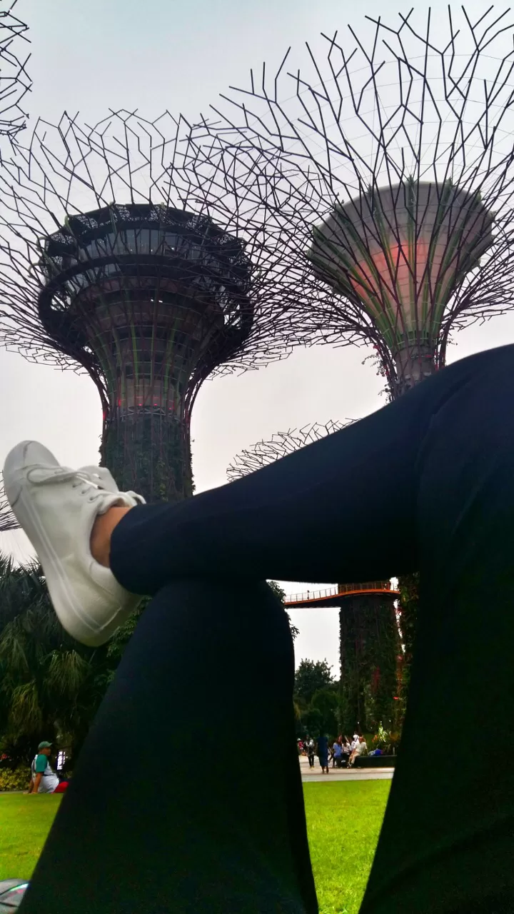 Photo of My First Ever: A Trip To Singapore #photosabroad by Pragya Shanker