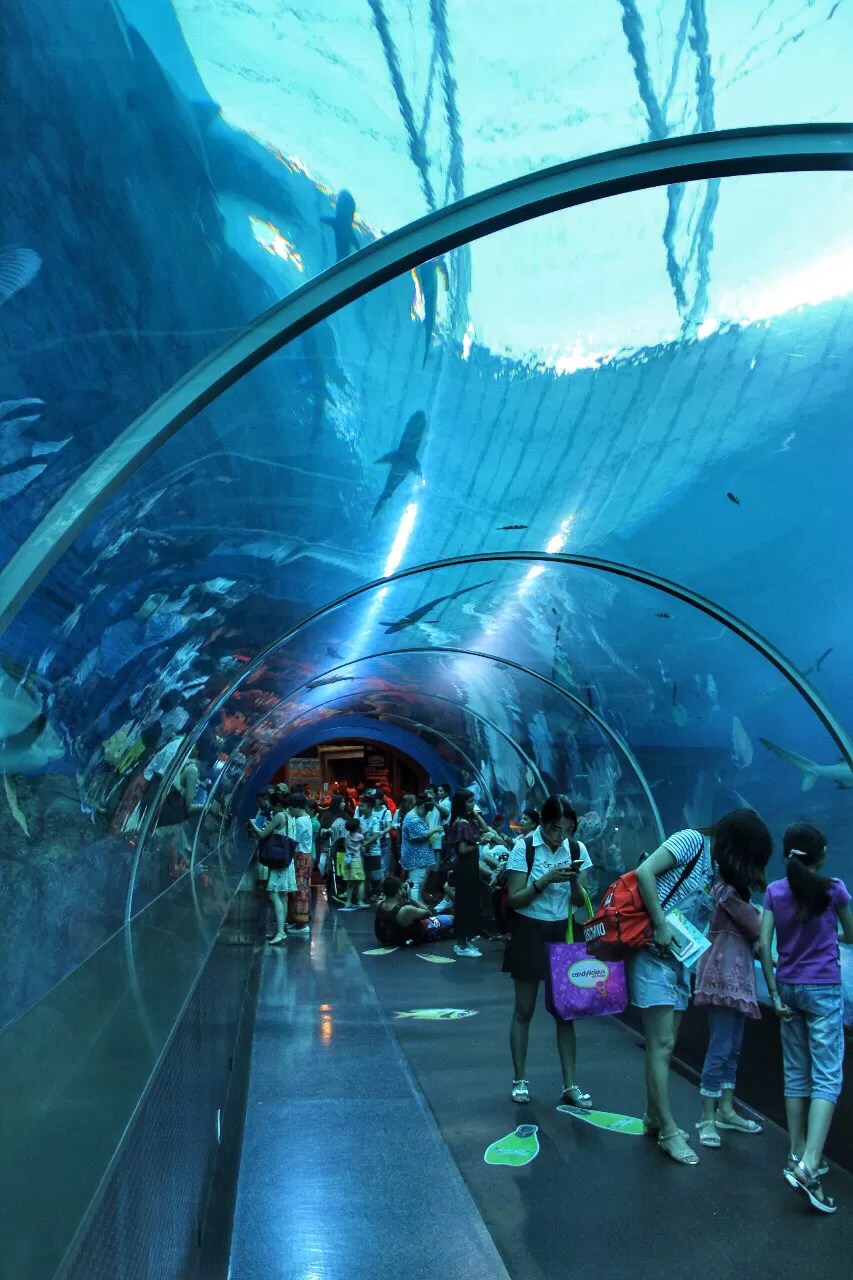 Photo of My First Ever: A Trip To Singapore #photosabroad by Pragya Shanker