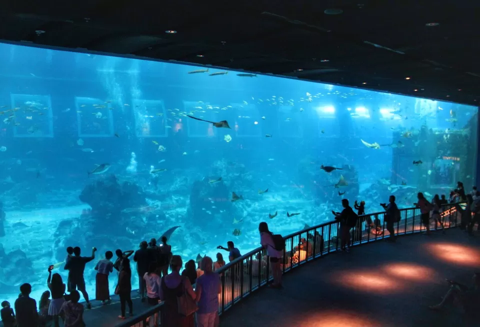 Photo of My First Ever: A Trip To Singapore #photosabroad by Pragya Shanker