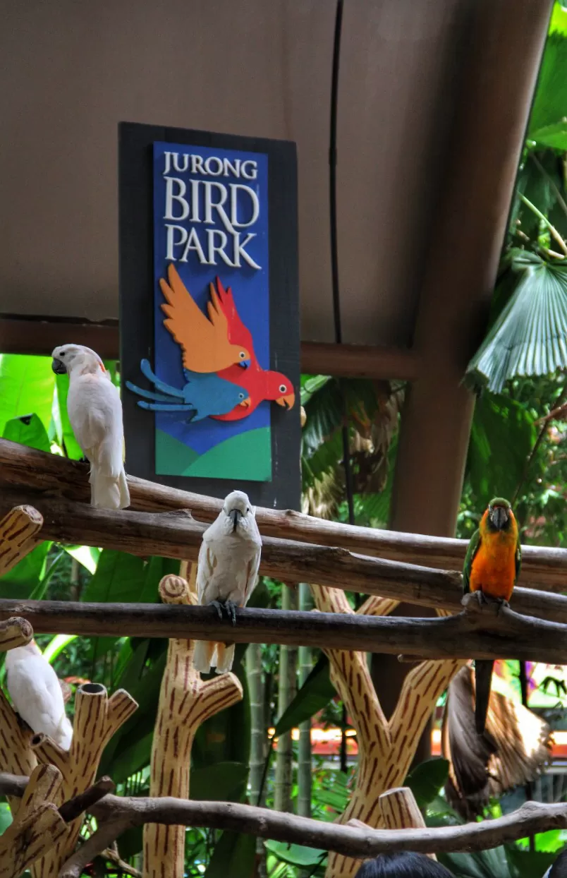 Photo of My First Ever: A Trip To Singapore #photosabroad by Pragya Shanker