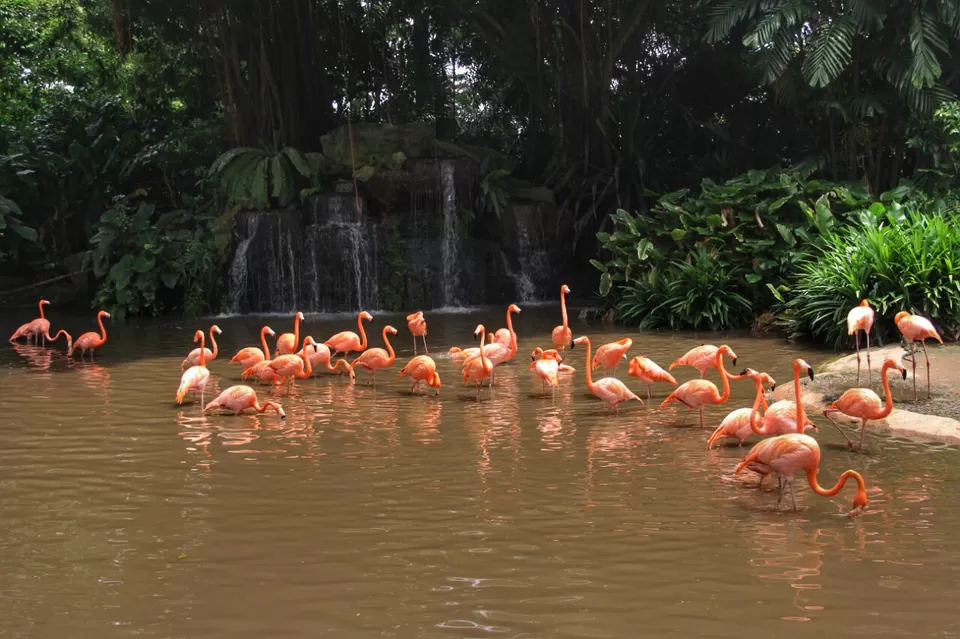 Photo of My First Ever: A Trip To Singapore #photosabroad by Pragya Shanker