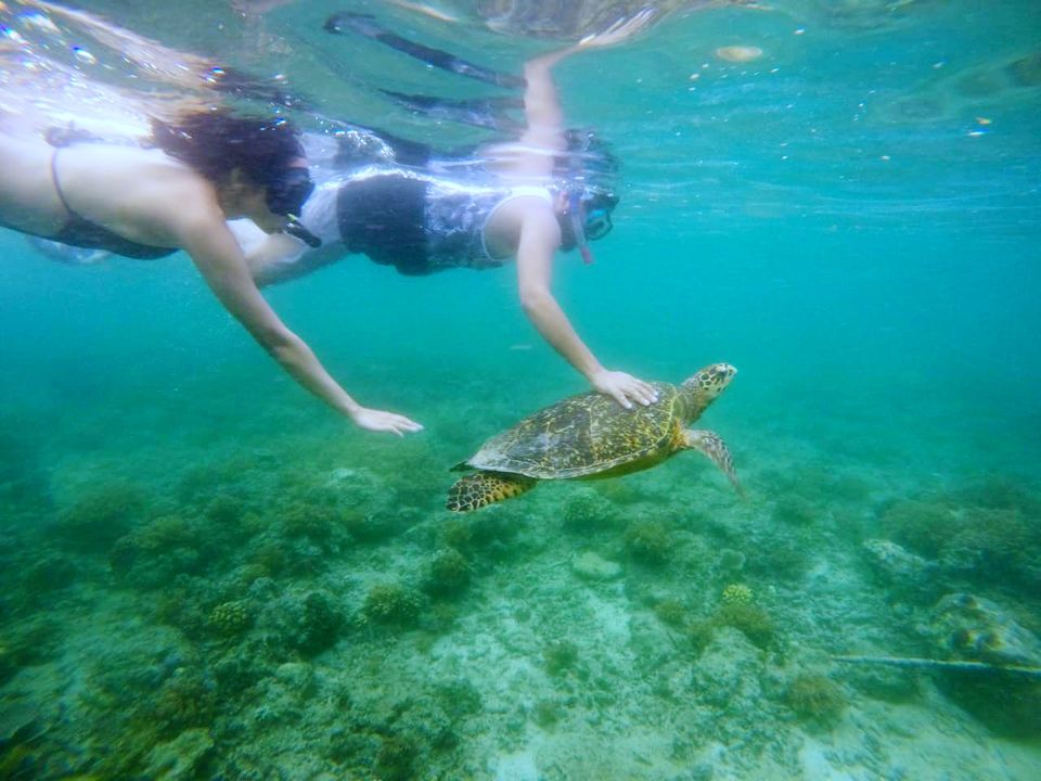 Photo of Snorkeling gili, Gili Indah, North Lombok Regency, West Nusa Tenggara, Indonesia by Barbie Goyal