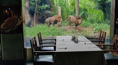Photo of Tsavo Lion Restaurant, Serongga, Gianyar, Bali, Indonesia by Barbie Goyal
