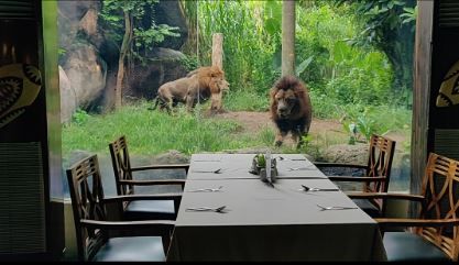 Photo of Tsavo Lion Restaurant, Serongga, Gianyar, Bali, Indonesia by Barbie Goyal