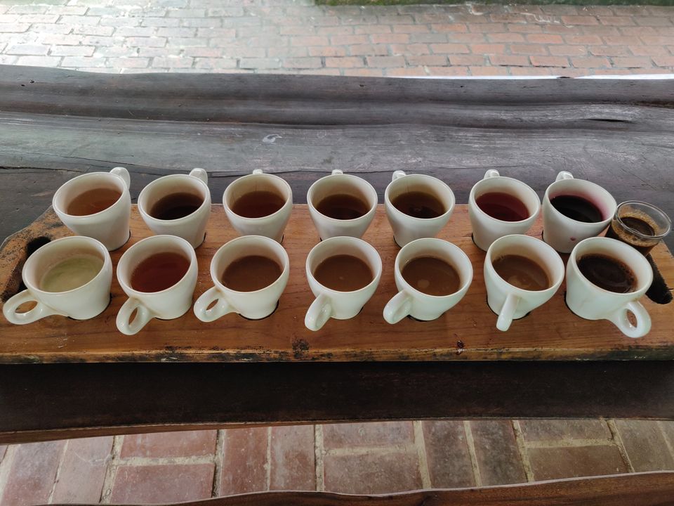 Photo of Kopi Luwak Baturiti, Jalan Raya Baturiti, Batunya, Tabanan Regency, Bali, Indonesia by Barbie Goyal