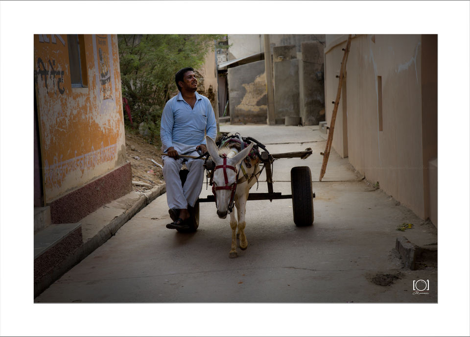 Photo of A rich town of art 14/22 by divyajain888