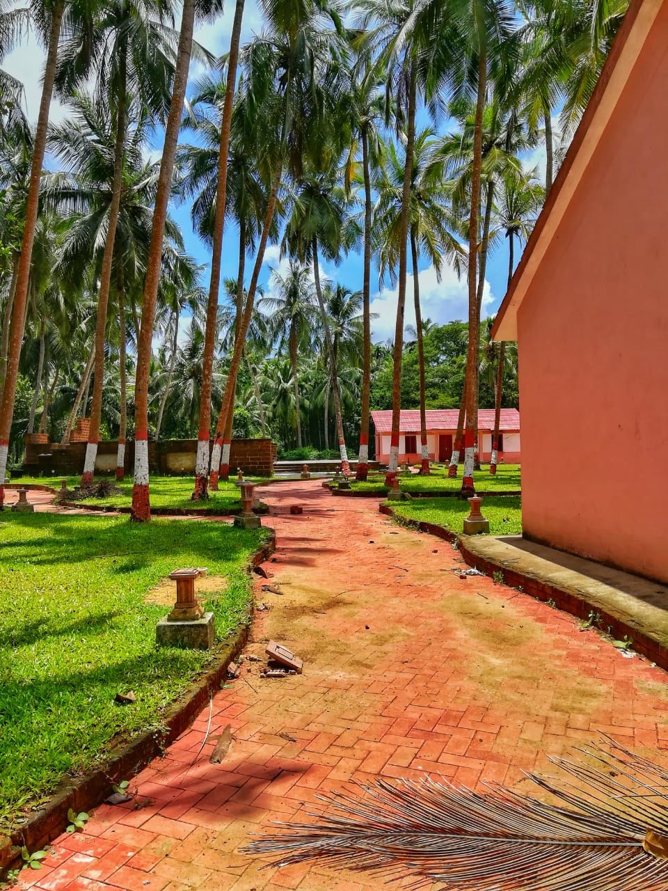 Photo of Raghurajpur, Jagannathballava, Odisha, India by Alpa Basu