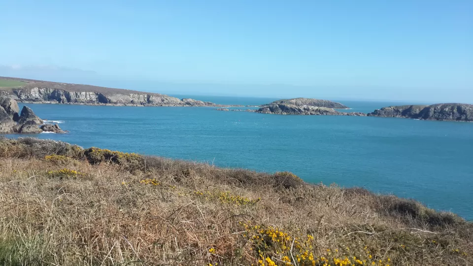 Photo of Porthclais Farm Campsite, Saint David's, United Kingdom by Harita Vinnakota