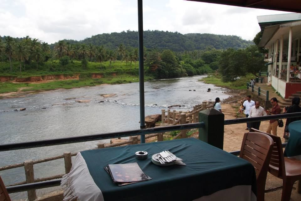 Photo of Glimpses of Sri Lanka in 90 hours 1/9 by Harita Vinnakota