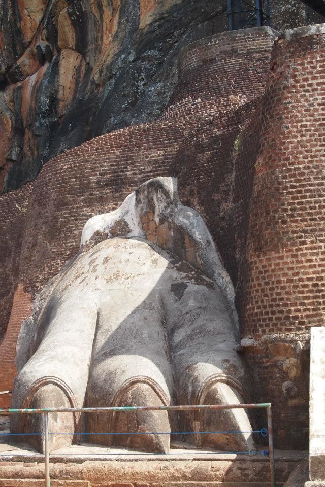 Photo of Glimpses of Sri Lanka in 90 hours 5/9 by Harita Vinnakota