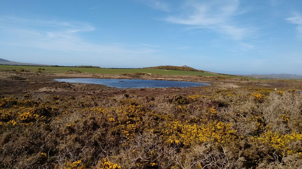 Beautiful Islands of Pembrokeshire - off the rocky coastline - Tripoto