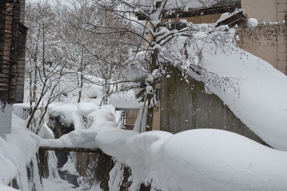 Photo of Snow monsters at Zao by Siddhesh Wani