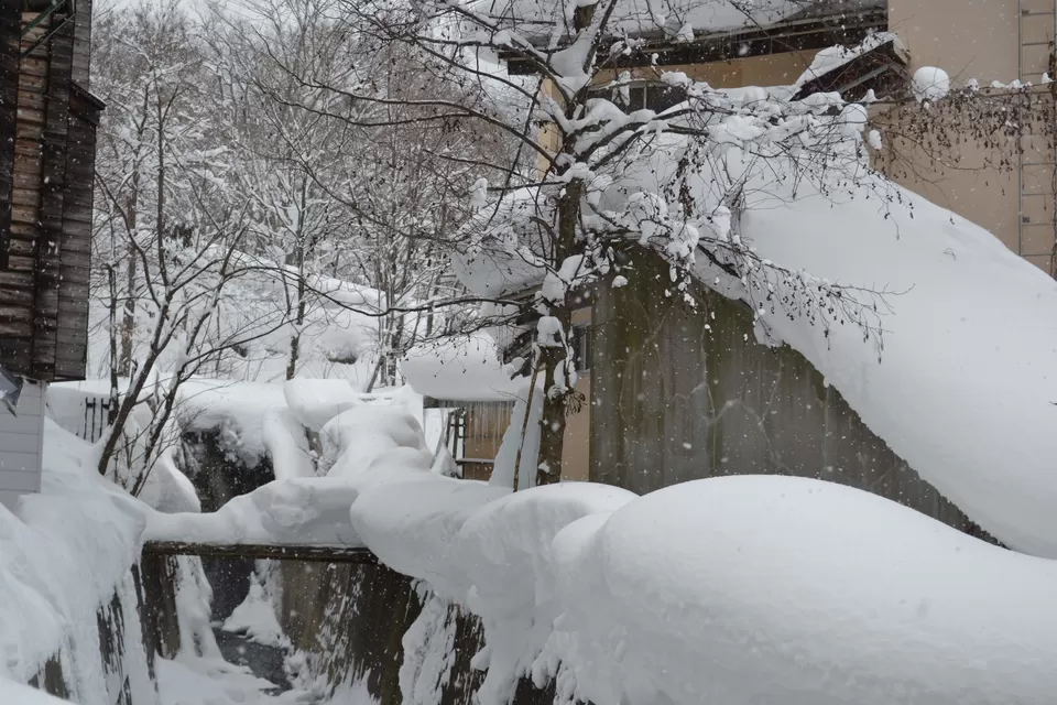 Photo of Snow monsters at Zao by Siddhesh Wani