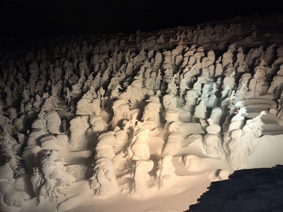 Photo of Snow monsters at Zao by Siddhesh Wani