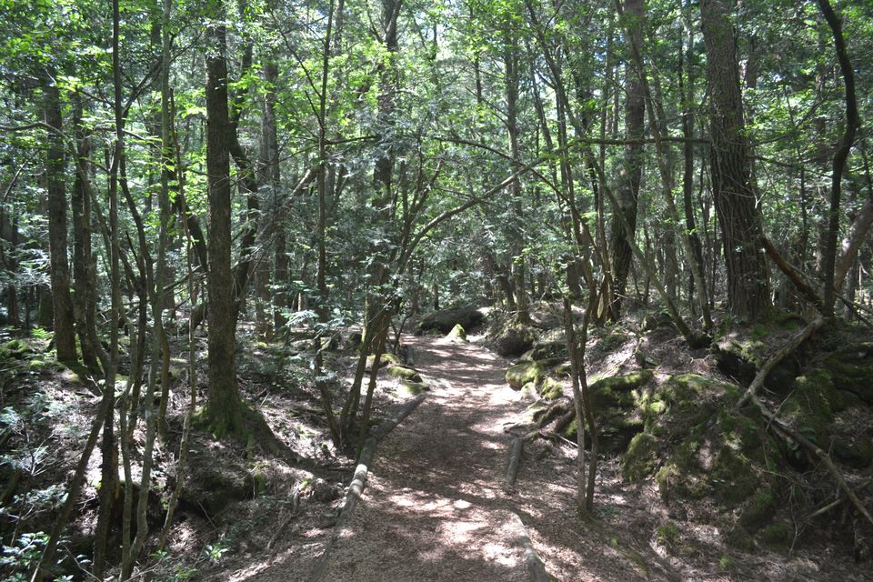 Photo of Fujikawaguchiko, Yamanashi Prefecture, Japan by Siddhesh Wani