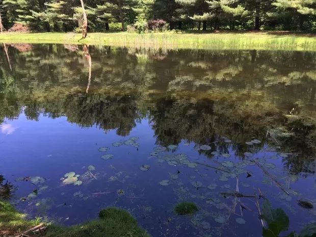 Photo of Voorhees State Park, County Road Route 513, Glen Gardner, NJ, USA by Daniels Realty
