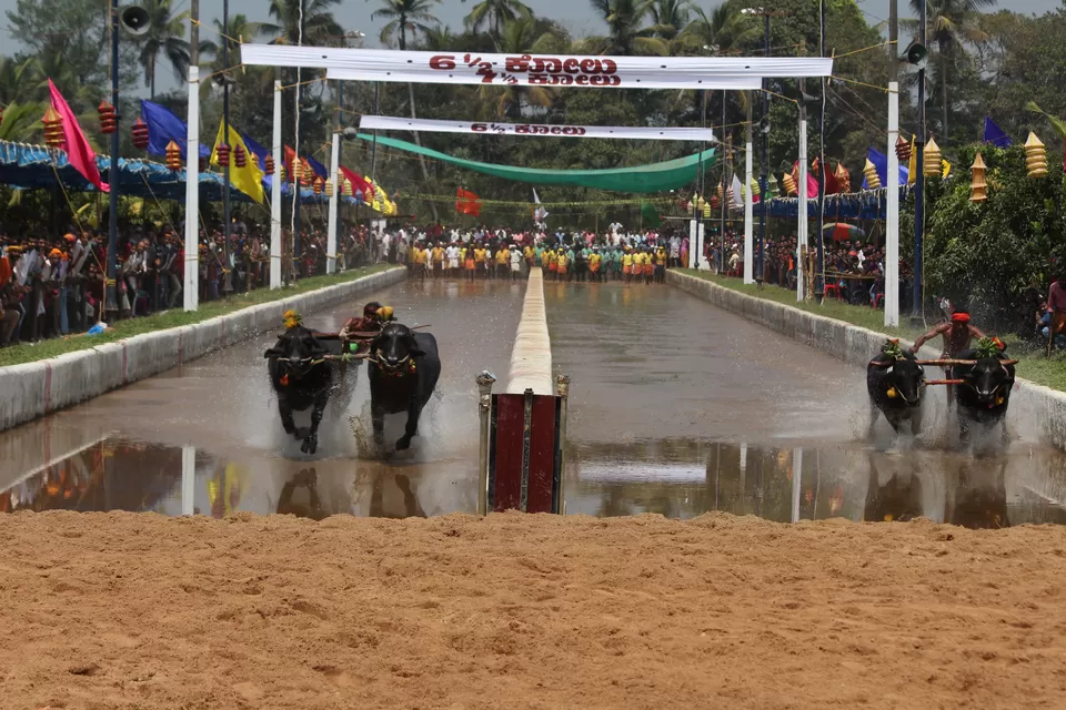 Photo of Coastal Karnataka solo trip :) Mangalore - Udupi - Gokarna by Sree Harsha