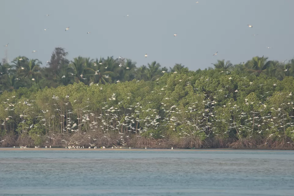 Photo of Coastal Karnataka solo trip :) Mangalore - Udupi - Gokarna by Sree Harsha