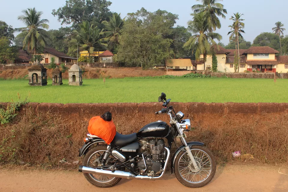 Photo of Bangalore, Karnataka, India by Sree Harsha