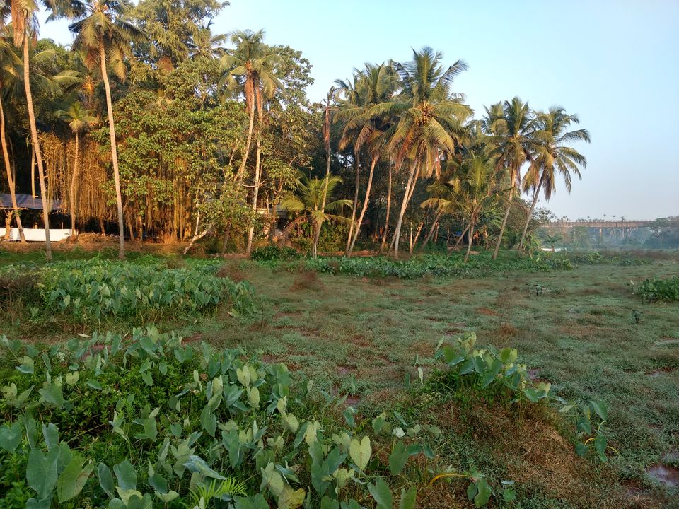 Photo of Kannur, Kerala, India by Sree Harsha