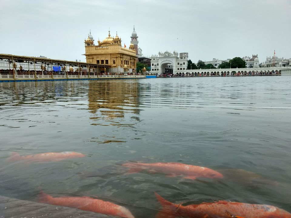Photo of Amritsar, Punjab, India by Sree Harsha